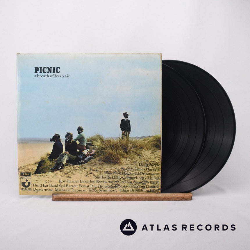 Various Picnic 2 x LP Vinyl Record - Front Cover & Record