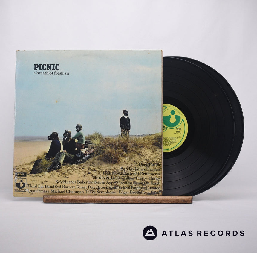 Various Picnic Double LP Vinyl Record - Front Cover & Record