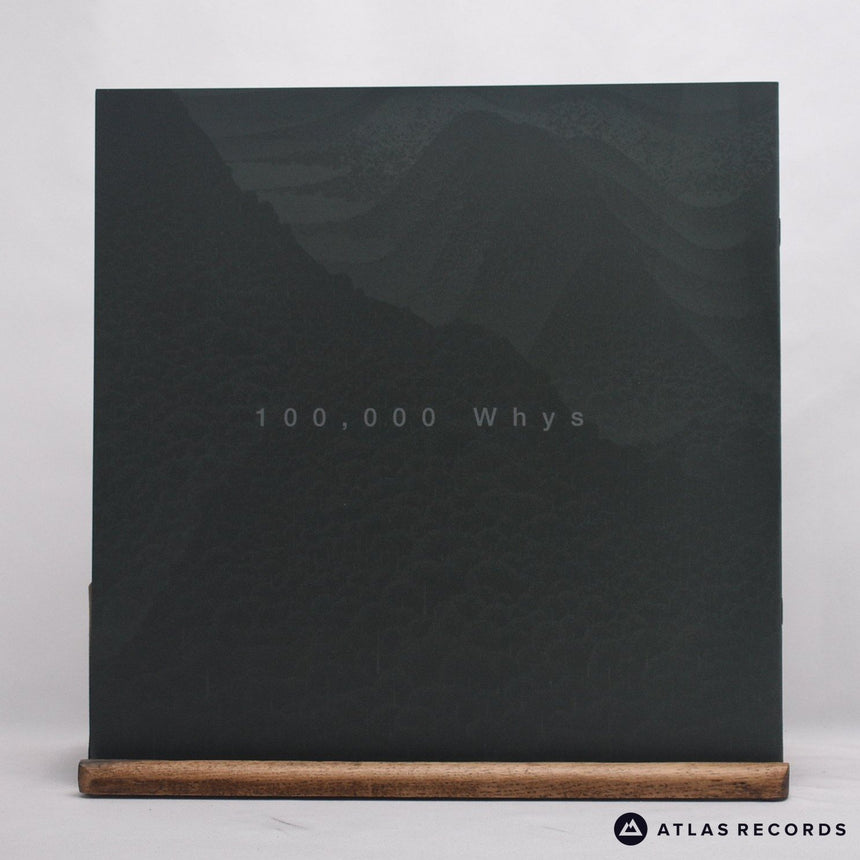 Wang Wen - 十万个为什么 100,000 Whys - 2 x LP Vinyl Record - NM/NM