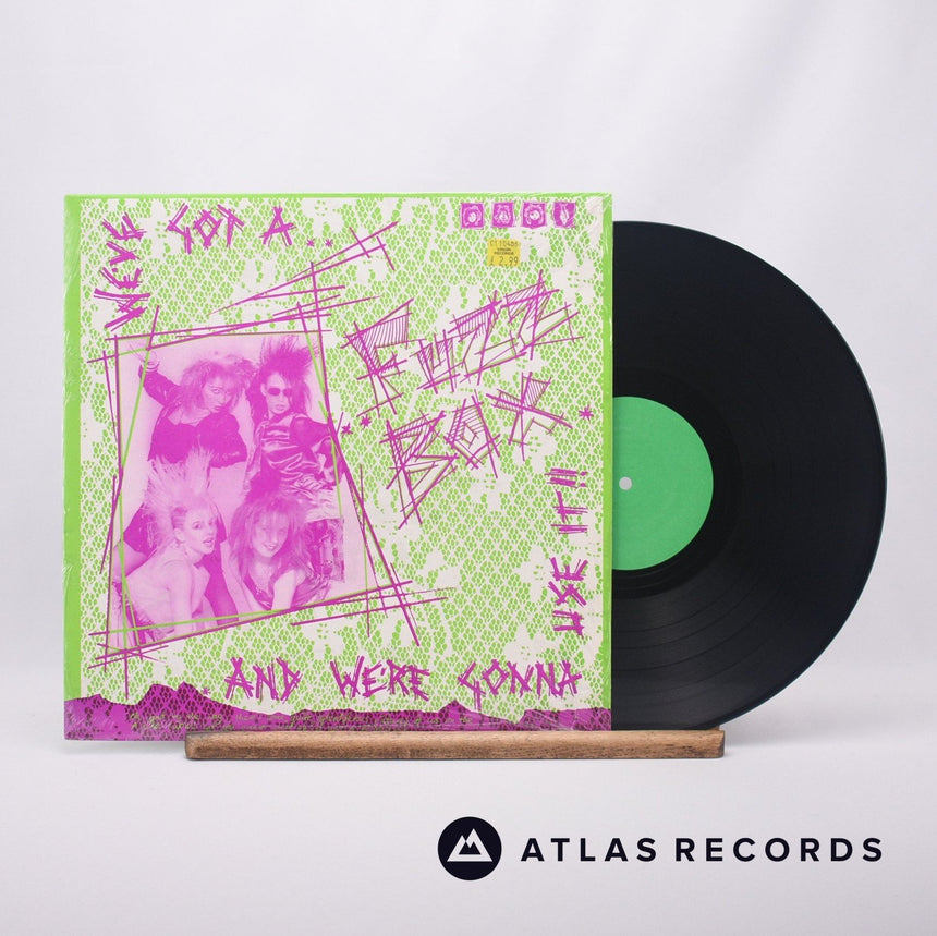 We've Got A Fuzzbox And We're Gonna Use It Rules & Regulations 12" Vinyl Record - Front Cover & Record