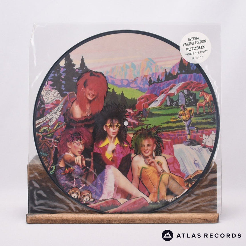 We've Got A Fuzzbox And We're Gonna Use It What's The Point 12" Vinyl Record - Front Cover & Record