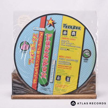 We've Got A Fuzzbox And We're Gonna Use It - What's The Point - 12" Vinyl Record