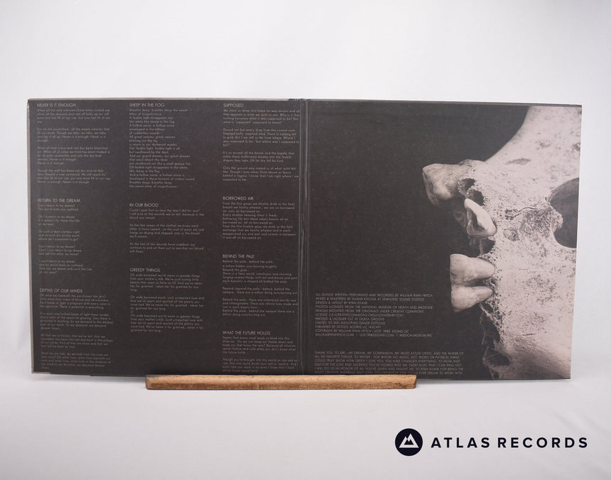 William Ryan Fritch - Behind The Pale - 180G Limited Edition LP Vinyl Record