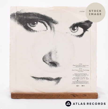 Alison Moyet That Ole Devil Called Love Vinyl Record - Reverse Of Sleeve