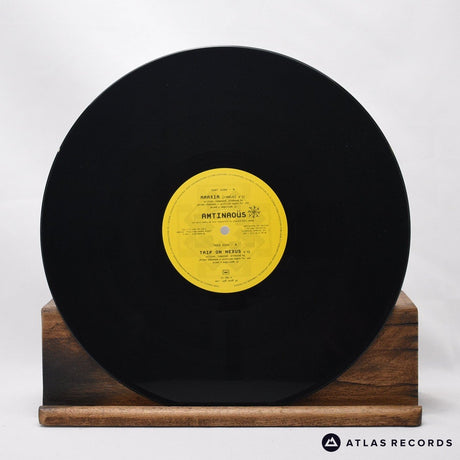 Amtinaoüs - Araxia (Remix) / Trip On Nexus - 12" Vinyl Record - VG+/VG+