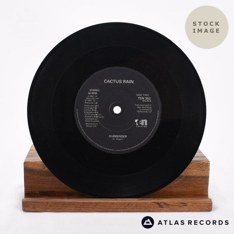 Cactus Rain Each Day Vinyl Record - Record A Side