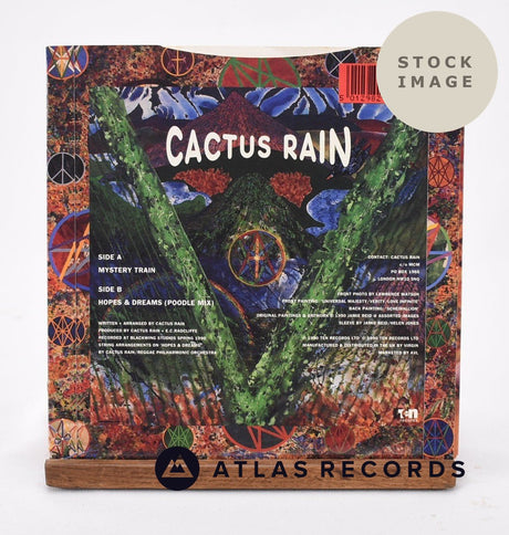 Cactus Rain Mystery Train Vinyl Record - Reverse Of Sleeve