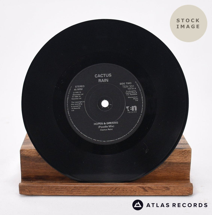 Cactus Rain Mystery Train Vinyl Record - Record B Side