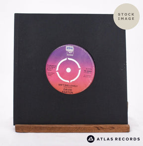David Parton Isn't She Lovely 1976 Vinyl Record - In Sleeve