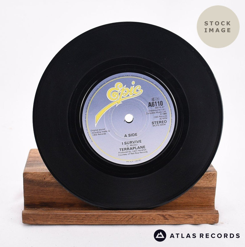 Terraplane I Survive Vinyl Record - Record A Side