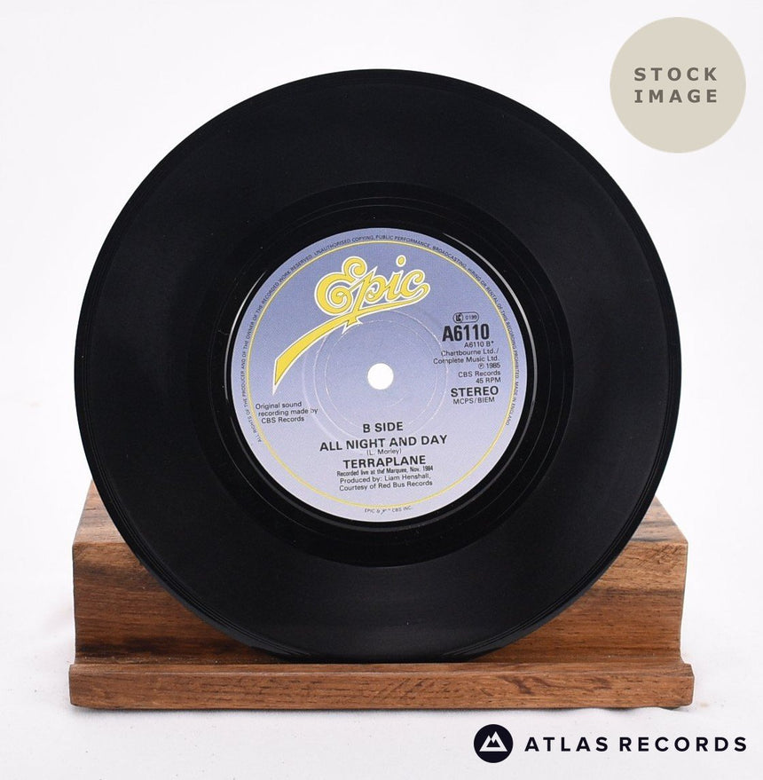 Terraplane I Survive Vinyl Record - Record B Side